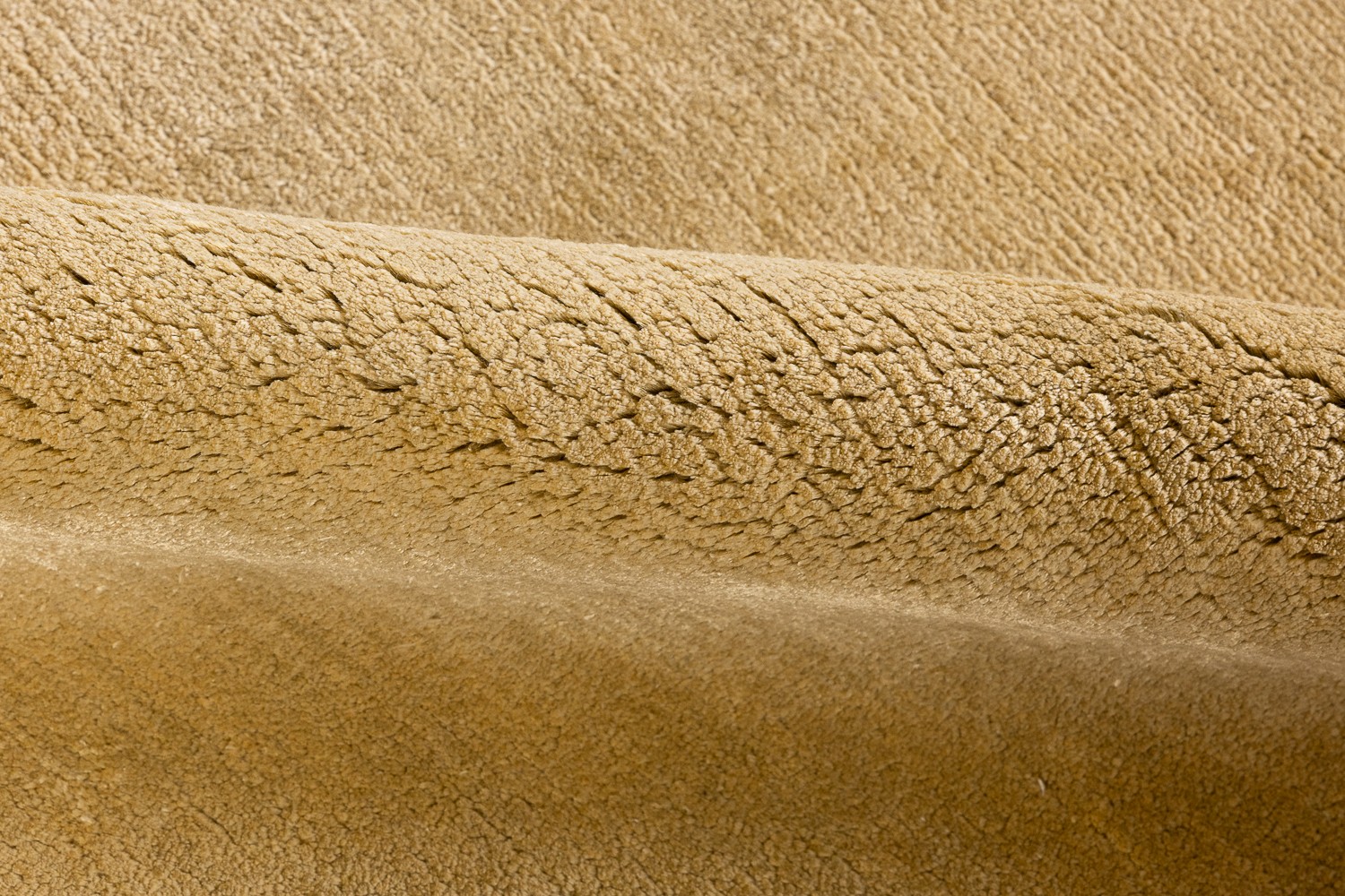 Gallery-4