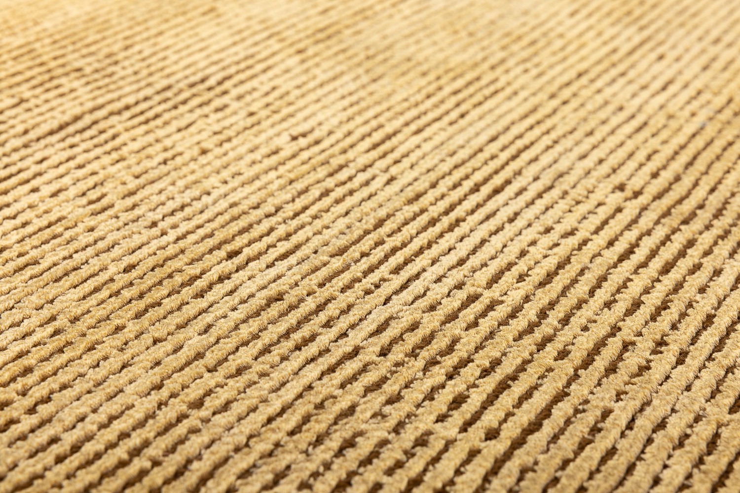 Gallery-6