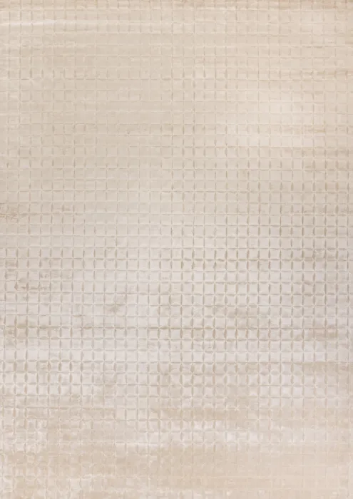 DOVE MODERN