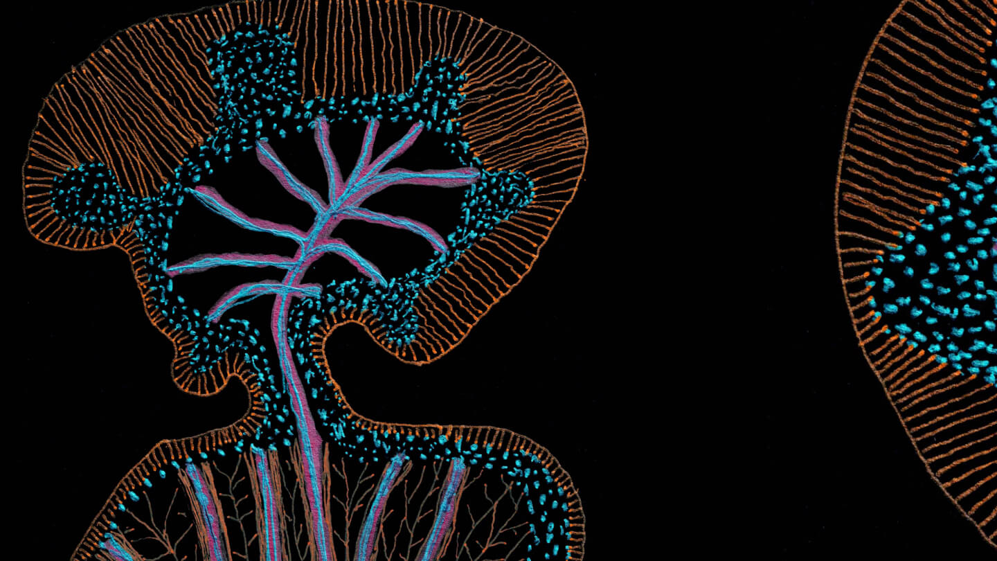 Новая коллекция Art de Vivre x Estúdio Campana будет представлена на Milan Design Week 2026