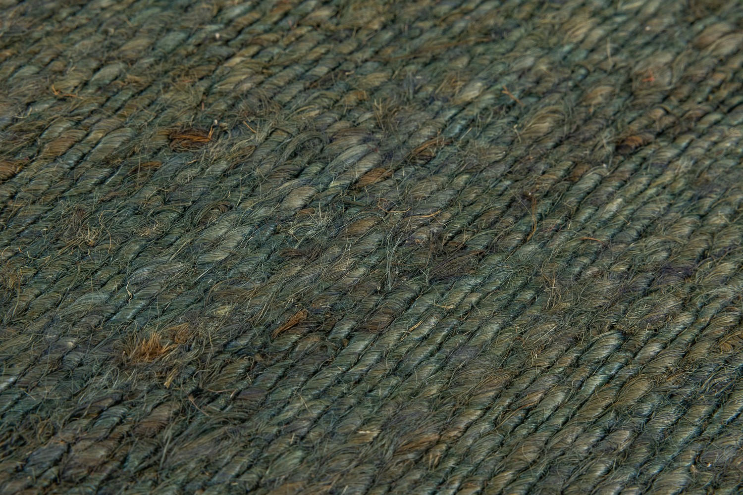 Gallery-5